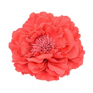 flowerpin
